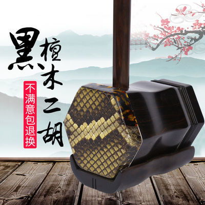 念音精品乐器店 寻觅心灵共鸣的艺术殿堂